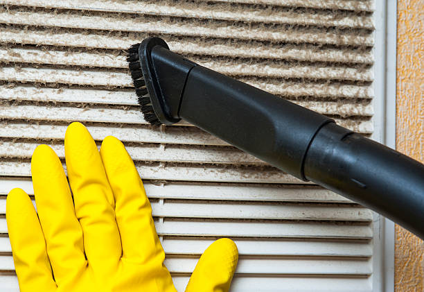 Best Professional Duct Cleaning Services  in Nroe City, MO